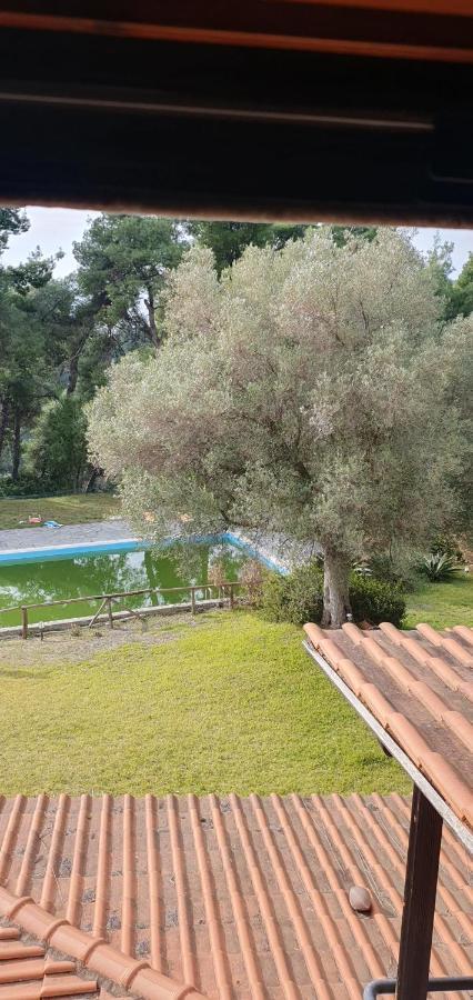 Nikol Villa Elani Siviri Esterno foto